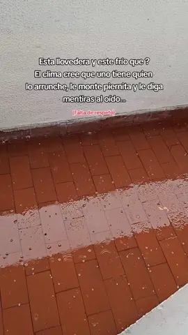 🥶❄️🌨 #lluvia #granizo #climabipolar #lluviasfuertes #humor 