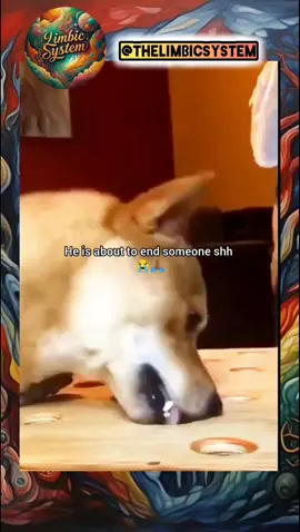 Follow for more 😁#thelimbicsystem #limbicmemes #viraltiktok #comedia #fyp #foryoupage #foryou #xybca #memecut #trend #trendingvideo #videoviral #meme #explore #fy 