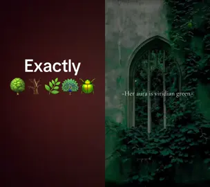 #duet with @𝕳𝖆𝖑𝖊𝖘 #Aesthetic 