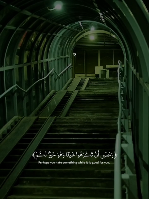 ﴿وَعَسَى أَنْ تَكْرَهُوا شَيْئًا وَهُوَ خَيْرٌ لَكُمْ﴾تلاوه جميلة بصوت القارئ عبدالله أحمد شعبان 🎧🍂#عبدالله_احمد_شعبان #quran_alkarim #قرآن #quran 