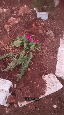 اللهم ارحم ابي واغفر له واسكنه فسيح جناته يارب 💔#الله #يرحمك_الله_ويسكنه_فسيح_جناته😔💔 #فقيدي #ابي #💔 