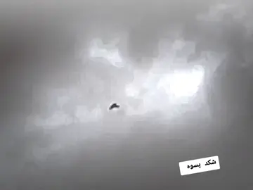 #جوري #مشاغل #جبل_حمرين #علي_صياح_عميد_الهوايه #مياز 