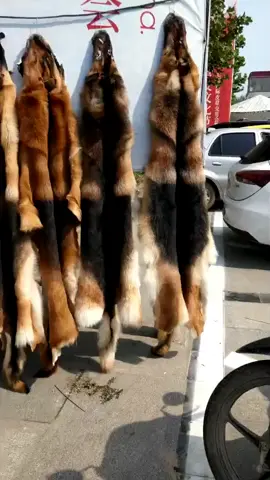 Long hair TD whole skin for fly tying