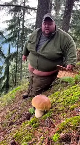 Ecco cosa potrebbe succedere se scegli di andare a funghi in una zona impervia e con l’attrezzatura sbagliata #porcini 