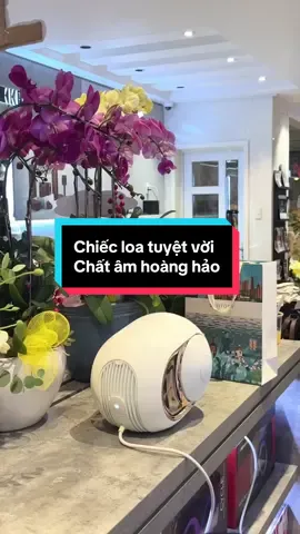 Quá tuyệt vời khi sở hửu chiếc loa cỏ như này🙄🙄🙄 đúng khách dân chơi#Saithanhaudio #loahay #DevialetPhantom #xhuongtiktok #TikTokAwardsVN 