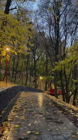 🍂🪾🍁#autumn #пенза 