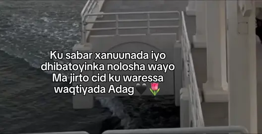 🩶🫶🏽#Tuun3yy💕👸🏻 #fypviral #fypage #foryou 