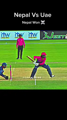 Nepal Vs Uae All Wickets Highlights 🥰😍 #NepalCricket #NepaliCricketFans #DelightSports #CricketLover #ForYouPage 