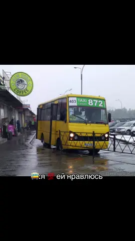 781 пиздатая тоже но водители не оч