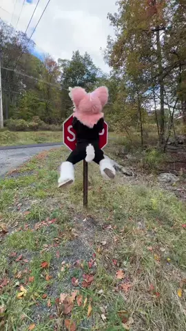 CALL ME!!😩 #fyp #furry #furrytiktok #furrycommunity #furrydance 