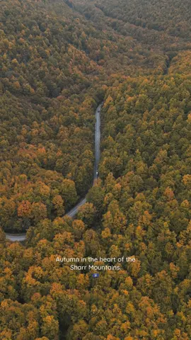#kosovo #autumn #fall #fyp #nature 