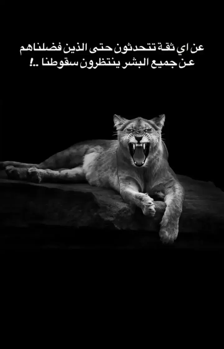 #مراد_علمدار #ميماتي_باش #شاكر #عبدالحي #اكسلبورر_explore 