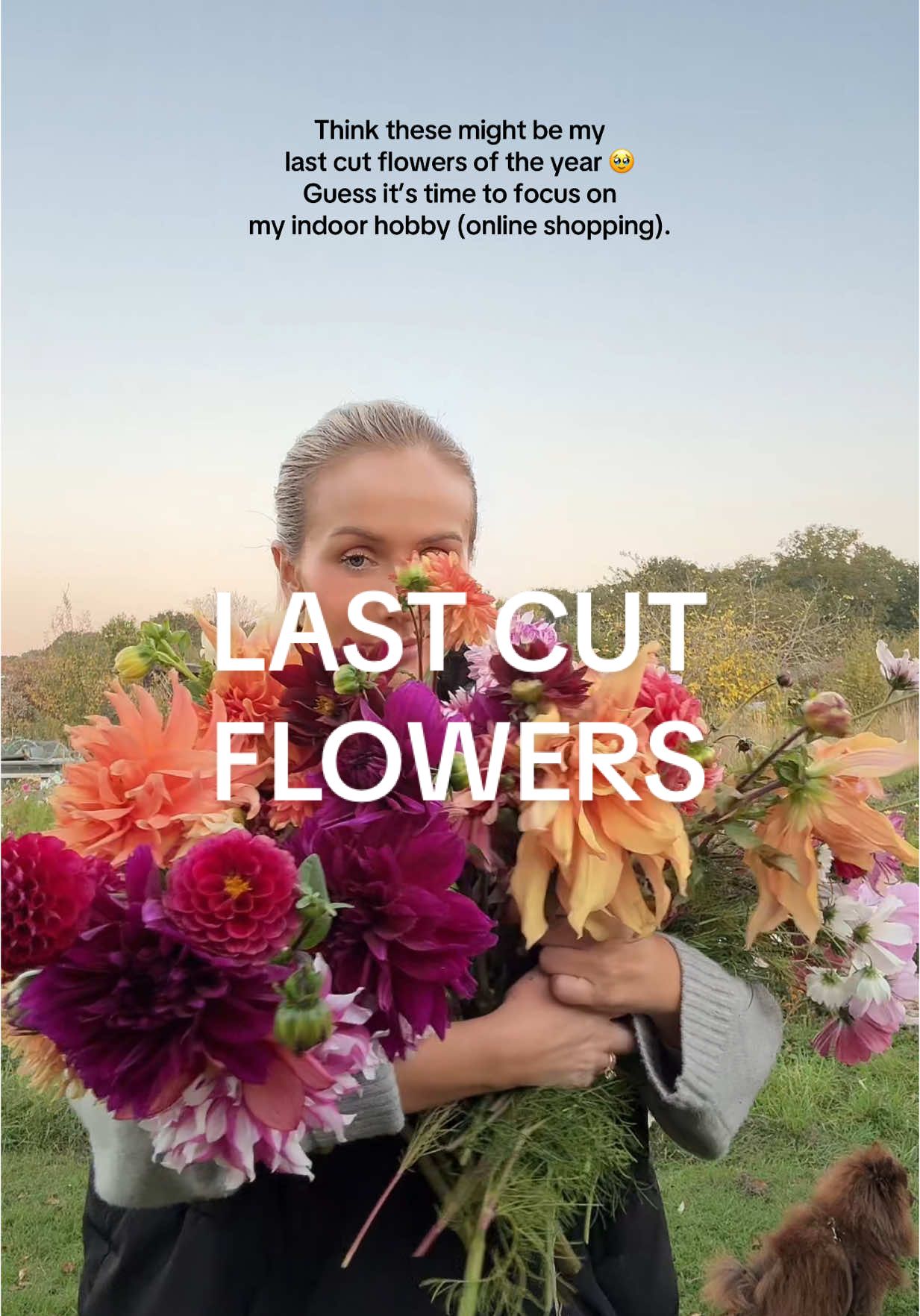 Seasonal depression and a new wardrobe incoming 🌸🌸🌸🌸🌸  #cutflowers #cutflowergarden #ukgarden #dahlias #cosmos 