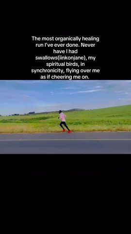 iiNkonjane zona zimaphiko made…ahhh!!!!Ndlangisa!!!!!