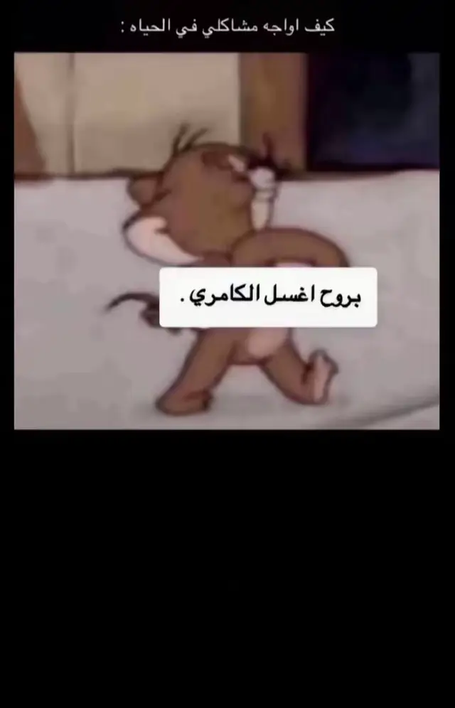 #القوز_حلي_القنفذة #fyp #وحيدين_السلي #كامري #كامري١٧🤩🤩 
