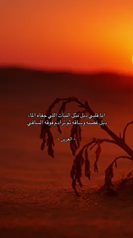 انا قلبي ذبل مثل النبات اللي جفاه الماء ذبل غصنه وساقه ثم ترادم فوقه السافي  #شعر #قصيد #مشاعر #الشعب_الصيني_ماله_حل😂😂 #قصايد 
