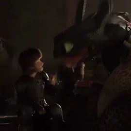 He’s in looveee #fypシ #httyd #nightfury #lightfury #httydfans2007 @httyd_232 @ᛏᚱᚨᛁᛏᛟᚱ 