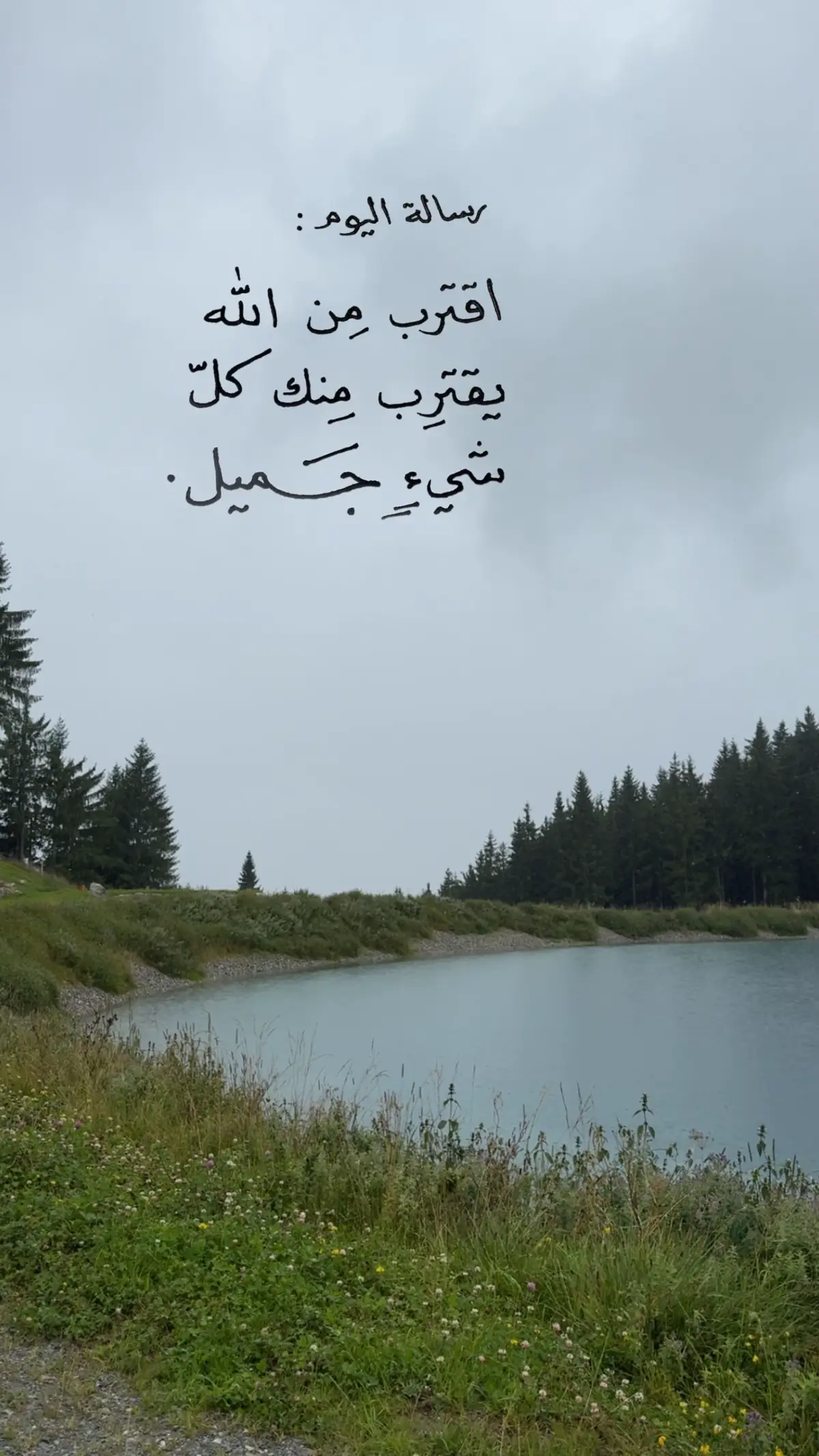 #اقتباسات #fypシ゚ #explore #بدون_موسيقى #like 
