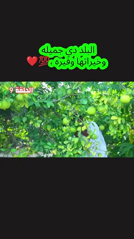 #مشاهدات_ترند_اكسبلور_مليون_مشاهده  فرقة الاجاويد السودانيه نضال وعمر عقال  عمر عقال فرقة الاجاويد السودانيه  نضال وعمر عقال  #مشاهدات_56000_مليون_مشاهده #creatorsearchinsights2026views #مشاهدات56000مليونمشاهدهلايفمباشر #مشاهدات_ترند_اكسبلور_مليون_مشاهده@Zoolrahal @Zoolrahal  @Zoolrahal 