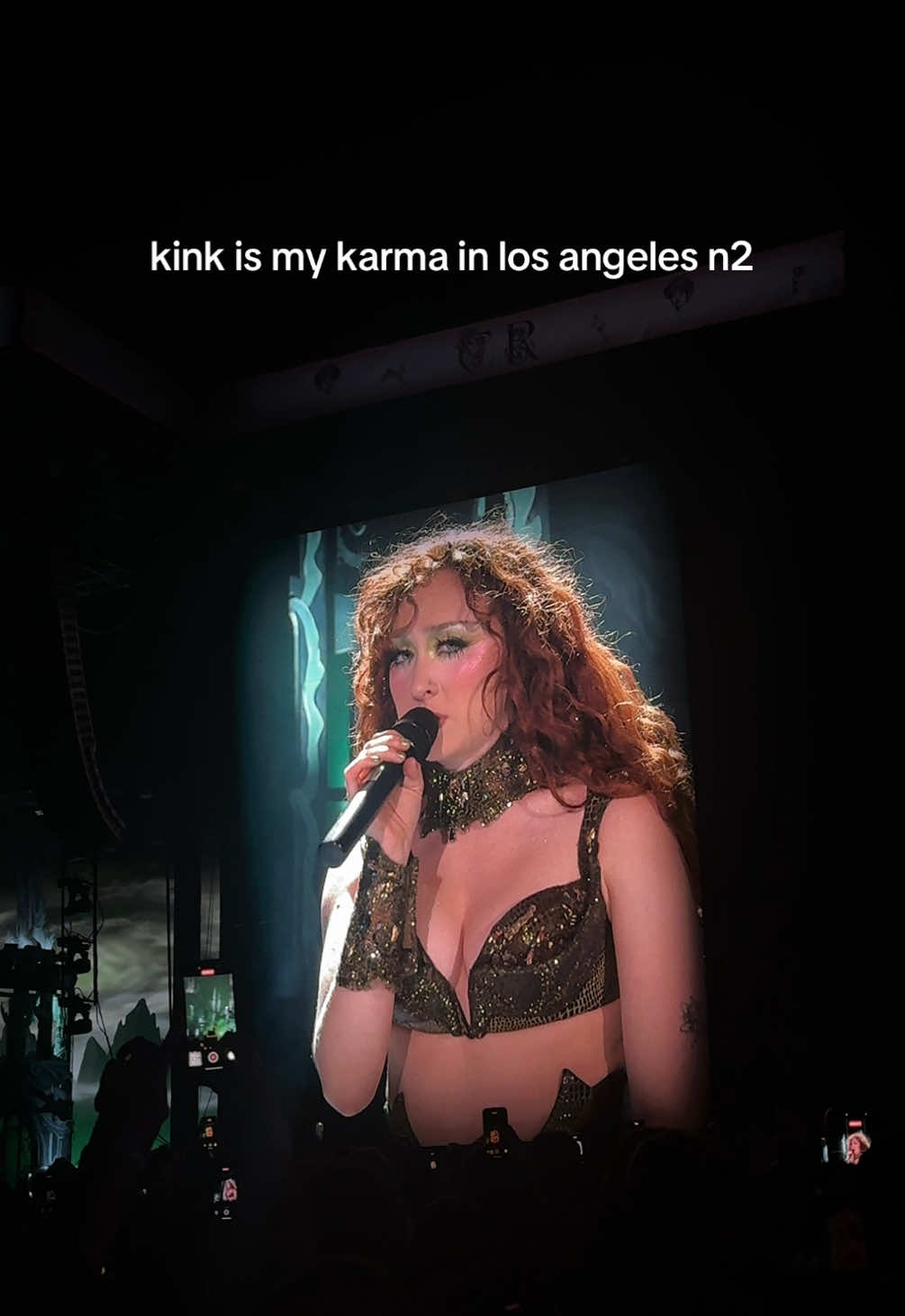 it was a spiritual experience to say the least  #chappellroanpasadena #chappellroan #chappellroanconcert #chappellroantour #visionsofdamselsandotherdangerousthings 