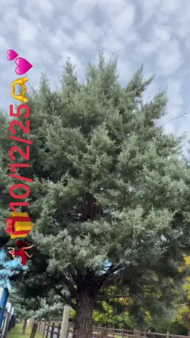 #Parati#viral#TikTokLearningCampaign 