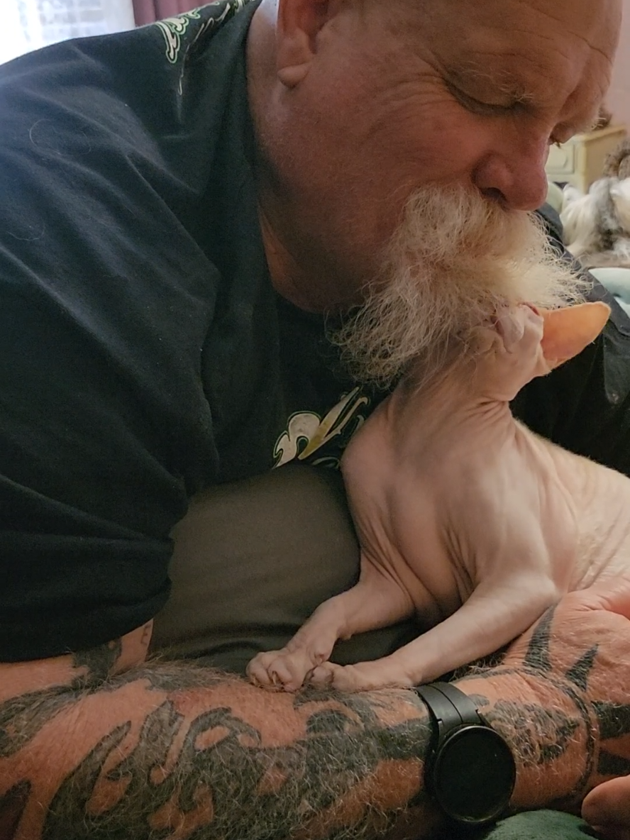 #Love #sphynxaddiction #scott  #mylove #oklahoma @Scott True @Bunnie Xo 🪄 