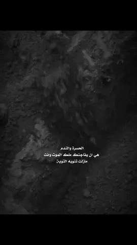 #اكسبلور #y_lj6 