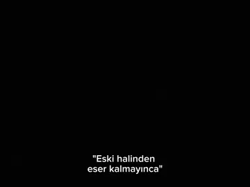 Don't leave me Murphy.                               #hazard #sad #edit 