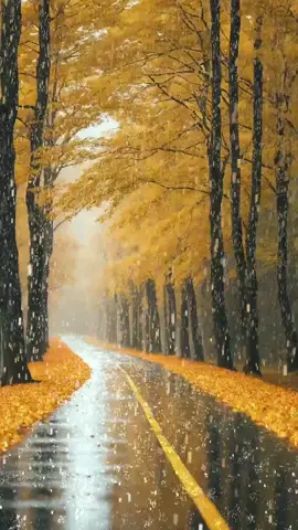 #fyp #foryou #foryourpage #tiktok #viral 