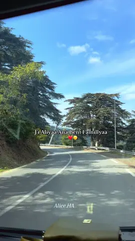 🙂‍↔️❤️#fyppppppppppppppppppppppppp #blida09_tiktok_algérie❤️🇩🇿 #explorepage✨ #شعب_الصيني_ماله_حل😂😂 #vieeoviral 