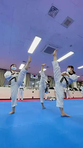 We love what we do😉👊👊👊#creatorsearchinsights #taekwondo #fyp #martialarts #poomsae forms, training. practice, motivational, kicks