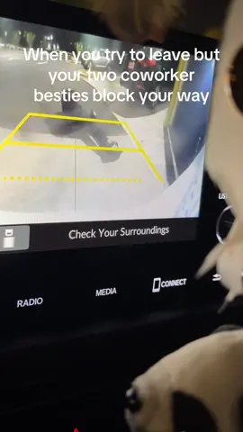 I literally can’t with the throwing 🤣 #fyp #xybca #foryoupage #BestFriends #work 