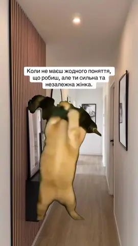 #Meme #MemeCut #рекомендації #приколи #тренди 