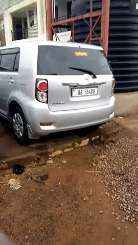 drive your dream car with us