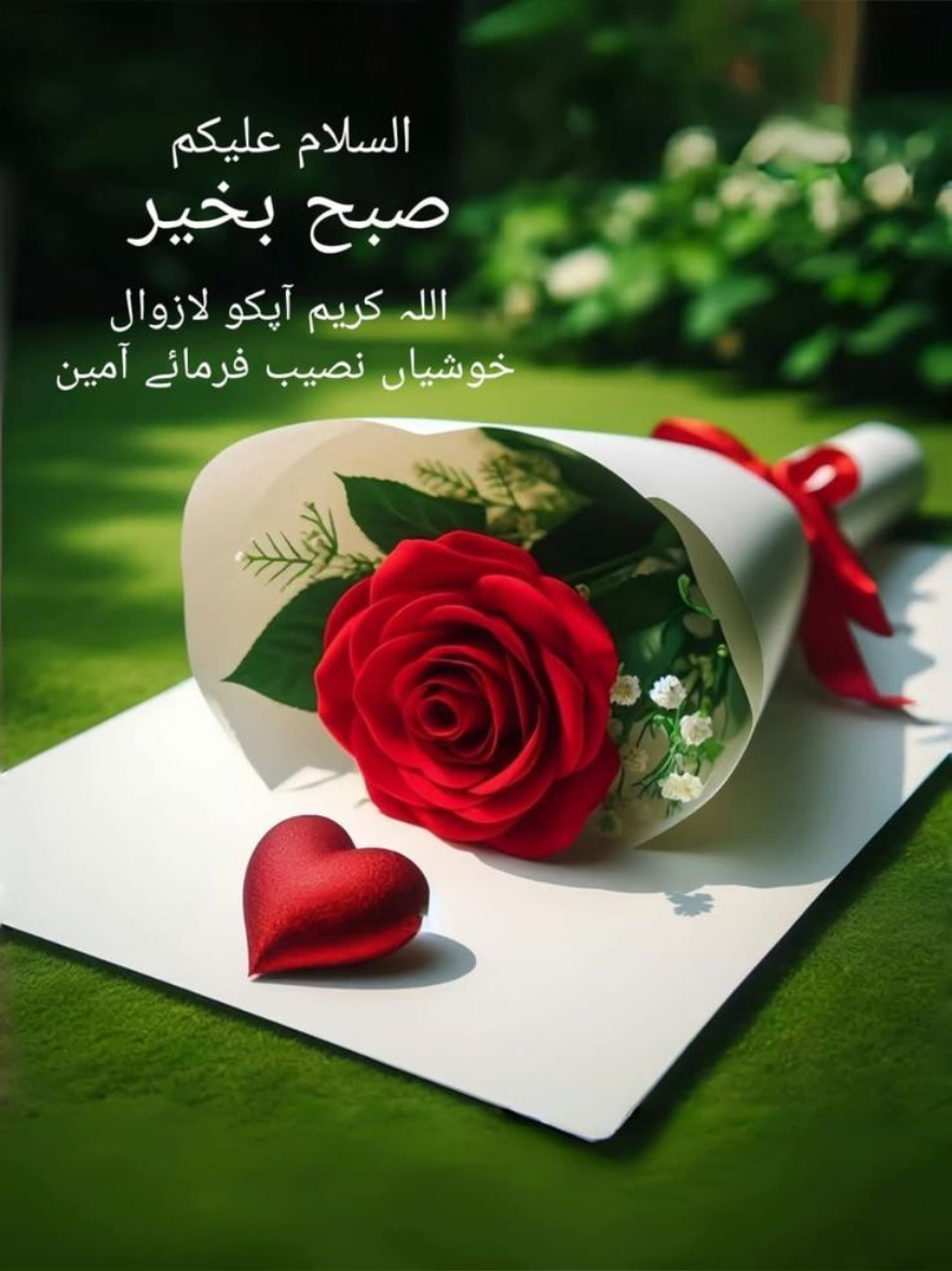 #GoodMorning💕💕💕 #صبح بخیر #Foryou💕💕💕 #fypシ゚viral🖤tiktok #creatorsearchinsights💕💕💕 