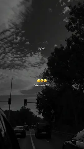 #prinzessin963 #😂🤣 #تصويري #viral #واقع  