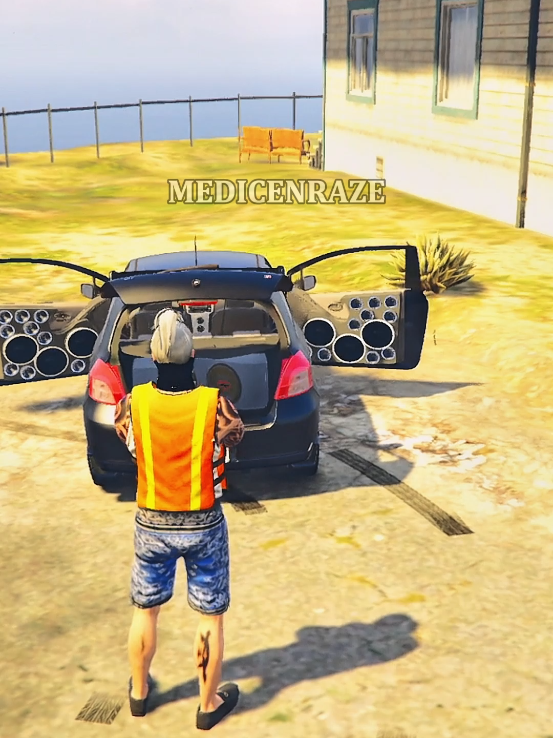 el carrito