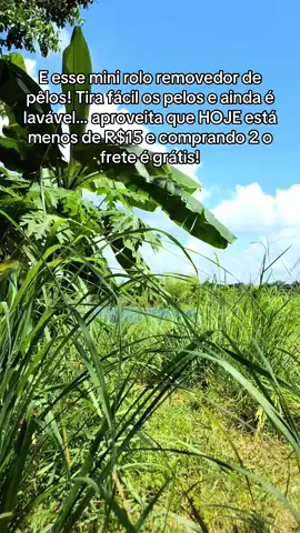 #removedordepelos #tiktokshop #dicas_utilidades #pelodegato 