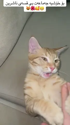 #everyone #kurdistan #hawler #erbil #fy 