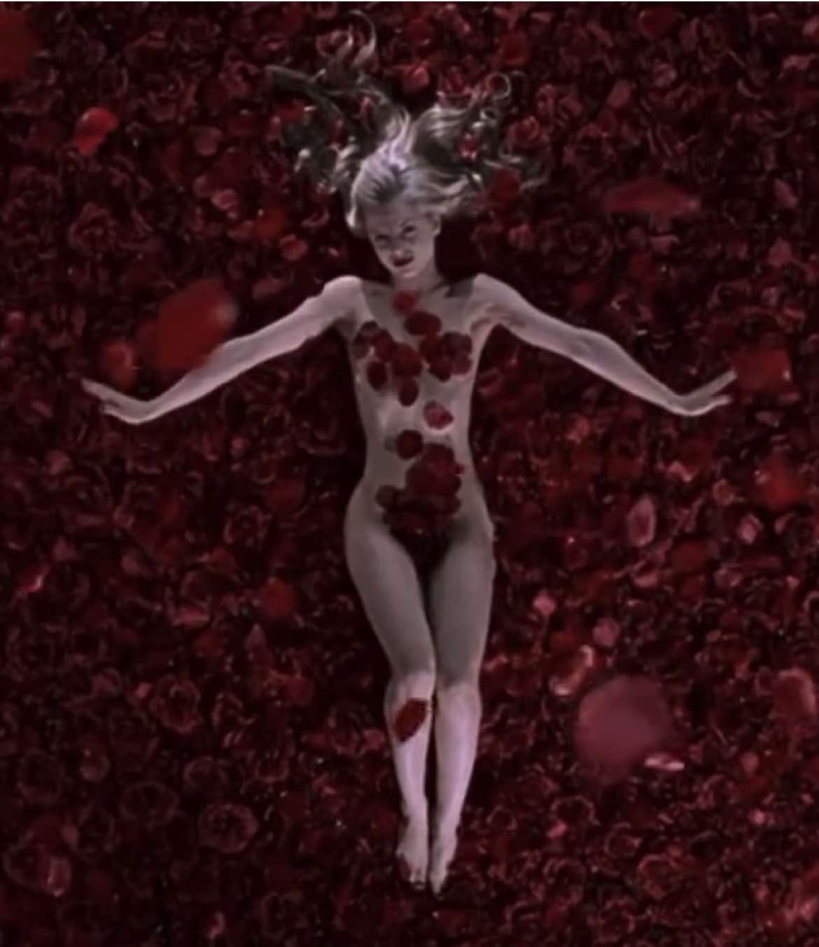 My name is Lester Burnham #americanbeauty #kevinspacey #wesbentley #menasuvari #90sclassic 