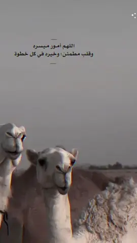 #اللهم_صلي_على_نبينا_محمد#الحمدالله_علی_کل_حال❤#دعاء#اكسبلورexplore 