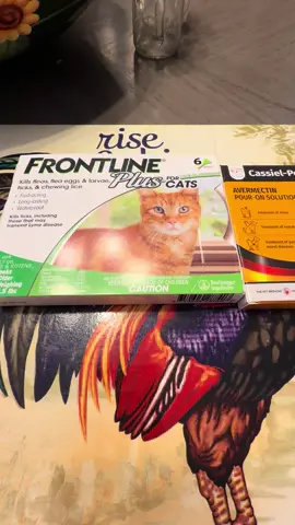 In my own opinion I think frontline and capstar is great flea treatment for cats but I decided to it to the test and compare it to the Cassie pet flea treatment to see which is the best and the link is in the video for you get your flea treatments and the frontline is so much cheaper here thank it is a pet store and when you buy something from my showcase I make a percentage that can help me move because I can’t no help to move because this house fire #tiktokshop #productreview #fyp #catsoftiktiok #thedivakats 