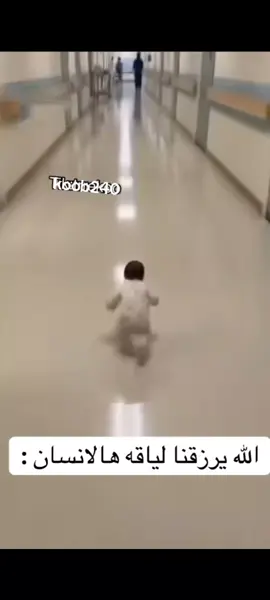 هههههههههههه تعال يانمله🐴