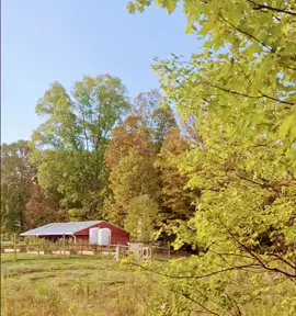 #fypage #genxkid #nature 