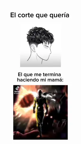 Literal#fyp#onepunchman #saitama 