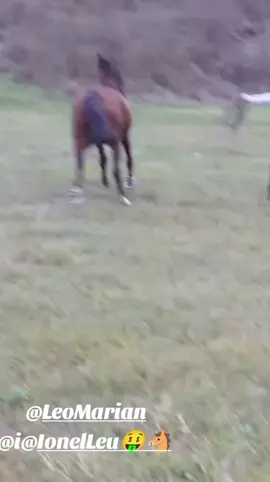 fapte nu vorbe 😘👌