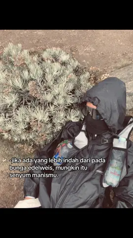 #fyp #edelweiss #pendakifomo #gununggede2958mdpl #wargasurken 