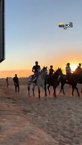 ربي يبارك 🔥#ملهاد_الطلحية_للفروسية_الشعبية #العز📸 