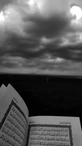 وَافْتَحِ اللَّهُمَّ لَنا مَصارِيعَ الصَّبَاحِ بِمَفَاتِيحِ الرَّحْمَةِ وَالْفَلَاحِ دعاء الصباح راحه نفسيه#قران_كريم #باسم_الكربلائي  #capcut #fyp #foryou 