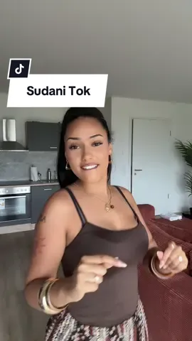 can someone translate the lyrics for me? #sudani #german #mixed